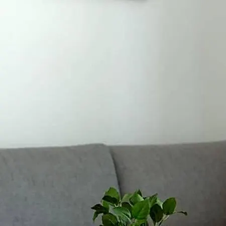 Hotel House Blossom